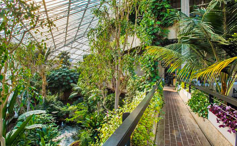 Barbican Conservatory