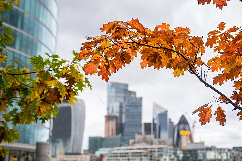 autumn in London