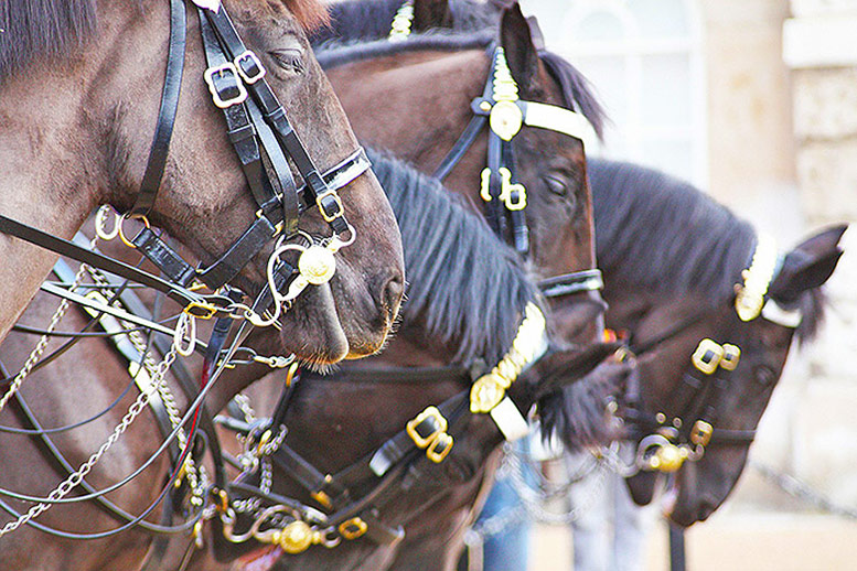 horse tour london