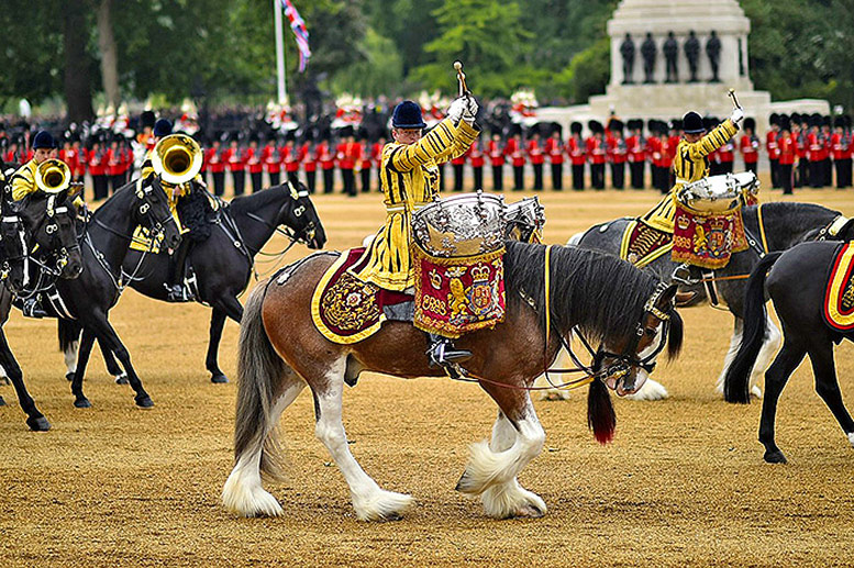 horse tour london