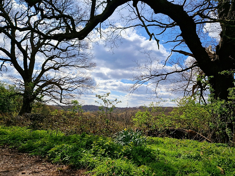 epping forest