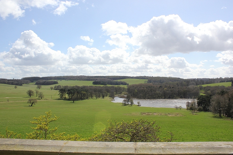 harewood house