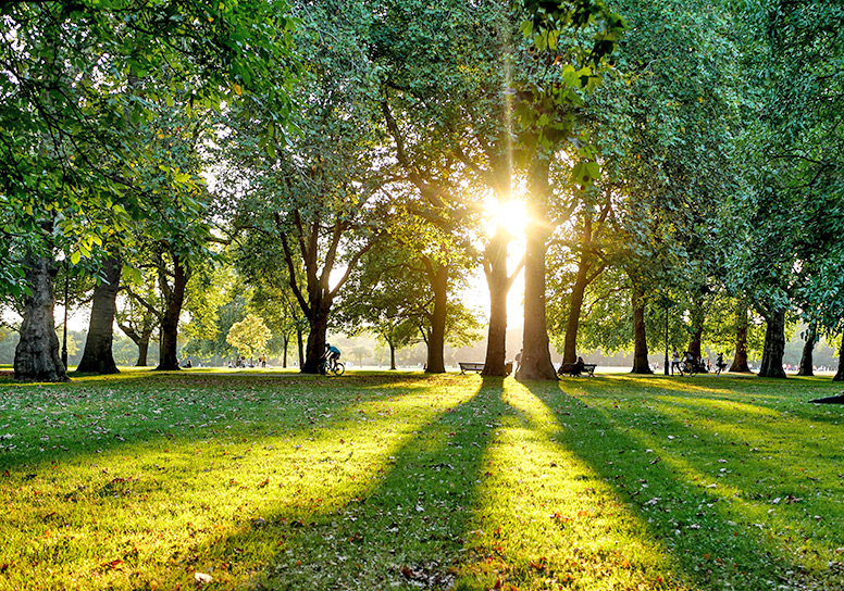 Park in London