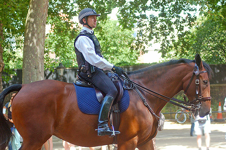 horse tour london