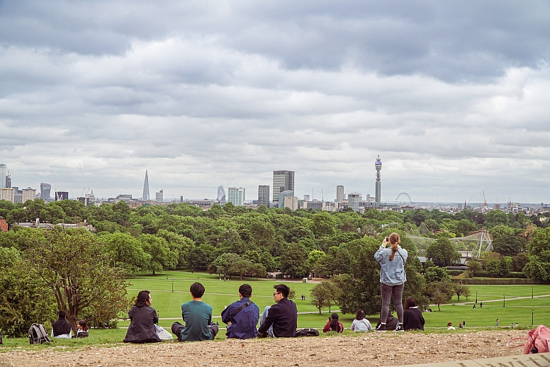 primrose hill