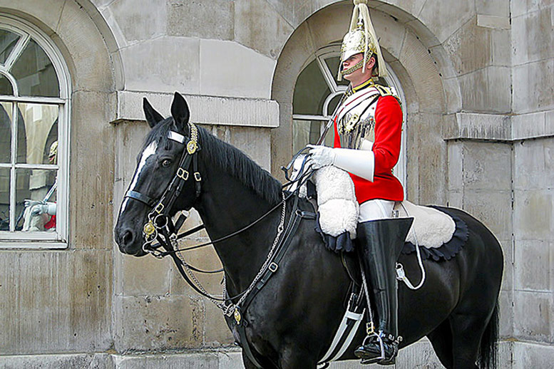 horse tour london