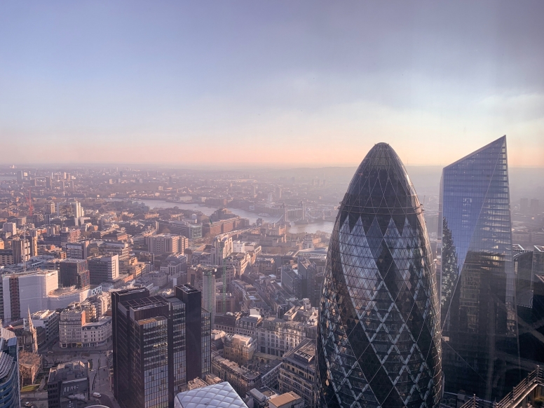 Gherkin Tower Skyline View